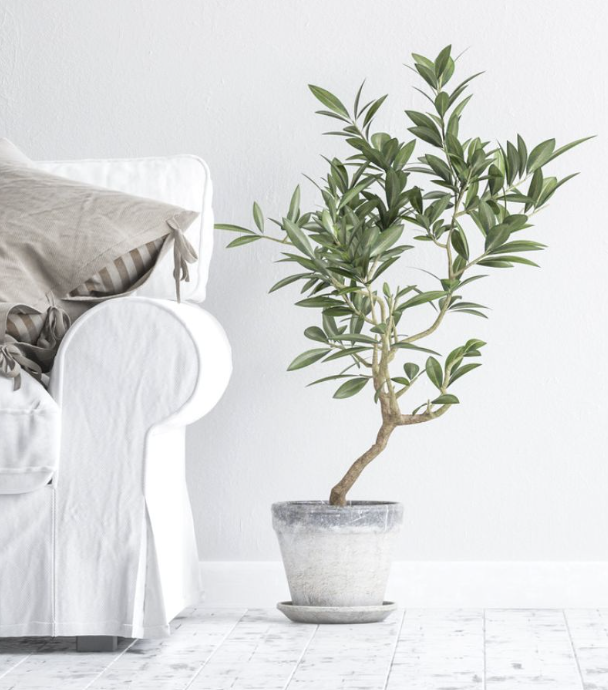 Growth Catalyst Coaching, LLC